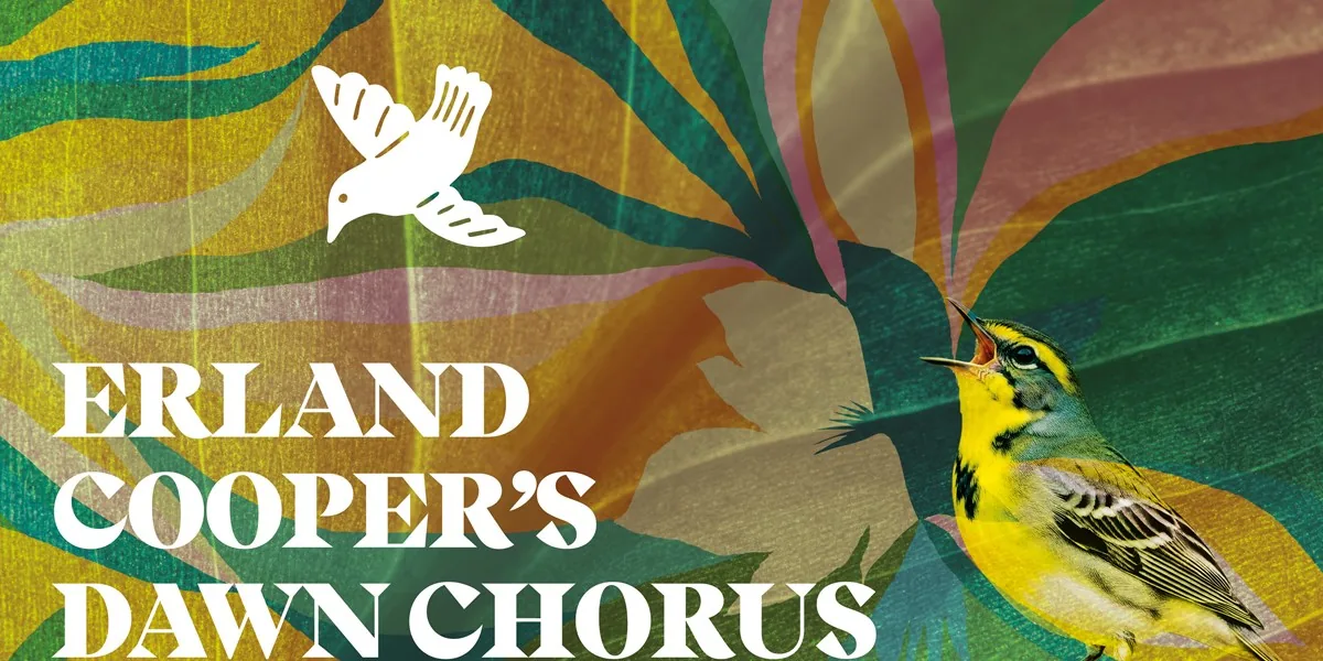 Artwork for Erland Cooper’s Dawn Chorus with the BBC SSO